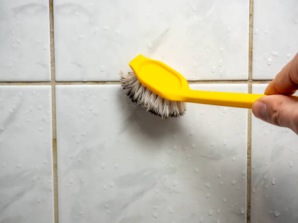 Professional Mold Remediation in Wautoma, WI