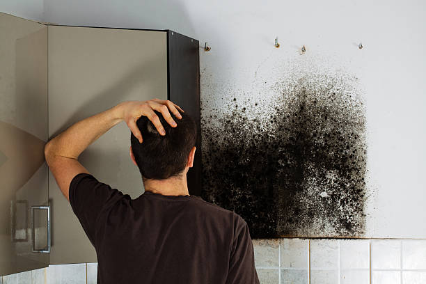 Best HVAC Mold Remediation in Wautoma, WI
